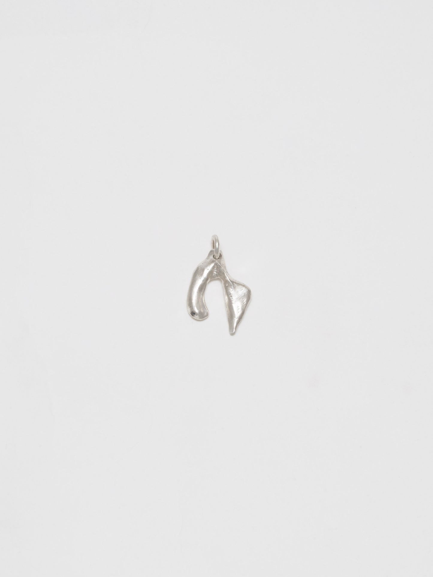 HORNERA PENDANT